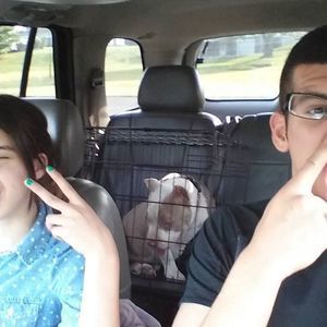 Meet your Posher, Dennis